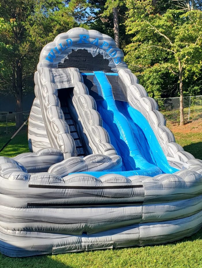 Wild Rapids Double Lane Water Slide